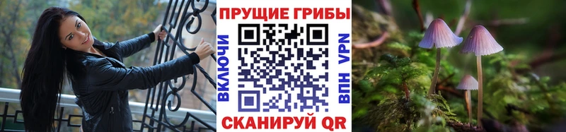 блэк спрут зеркало  Иркутск  Псилоцибиновые грибы мицелий 