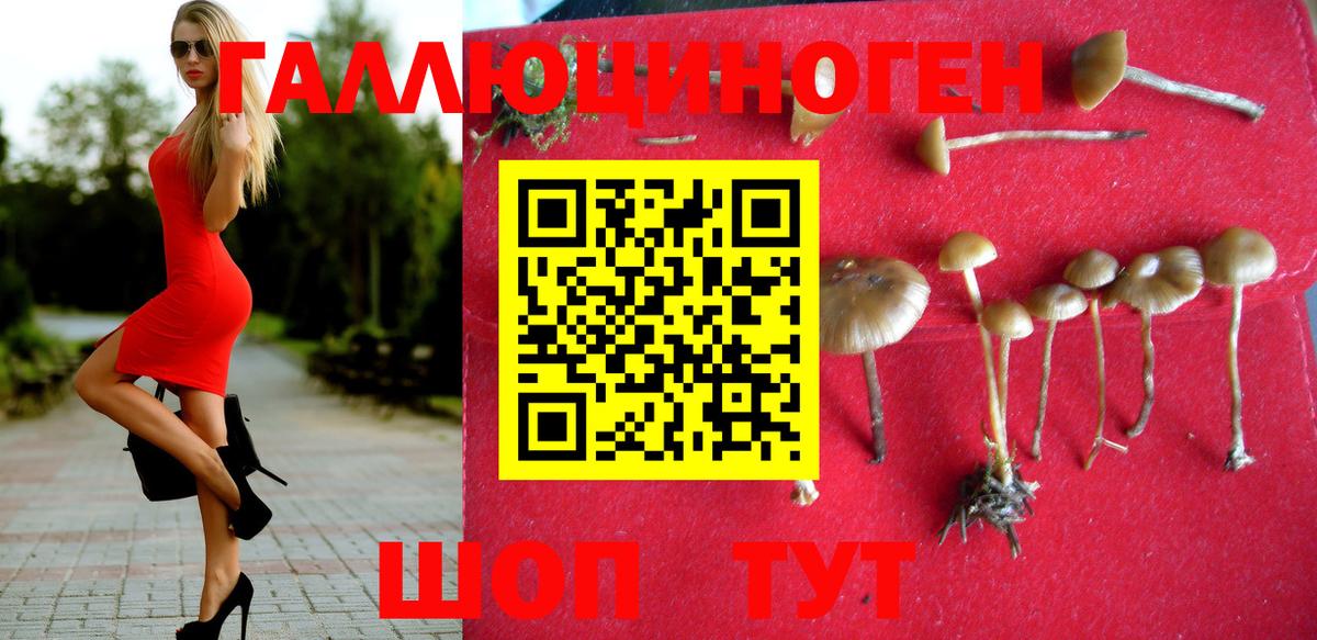 Иркутск  Псилоцибиновые грибы MAGIC MUSHROOMS  Вход с VPN  Псилоцибиновые грибы Cubensis 