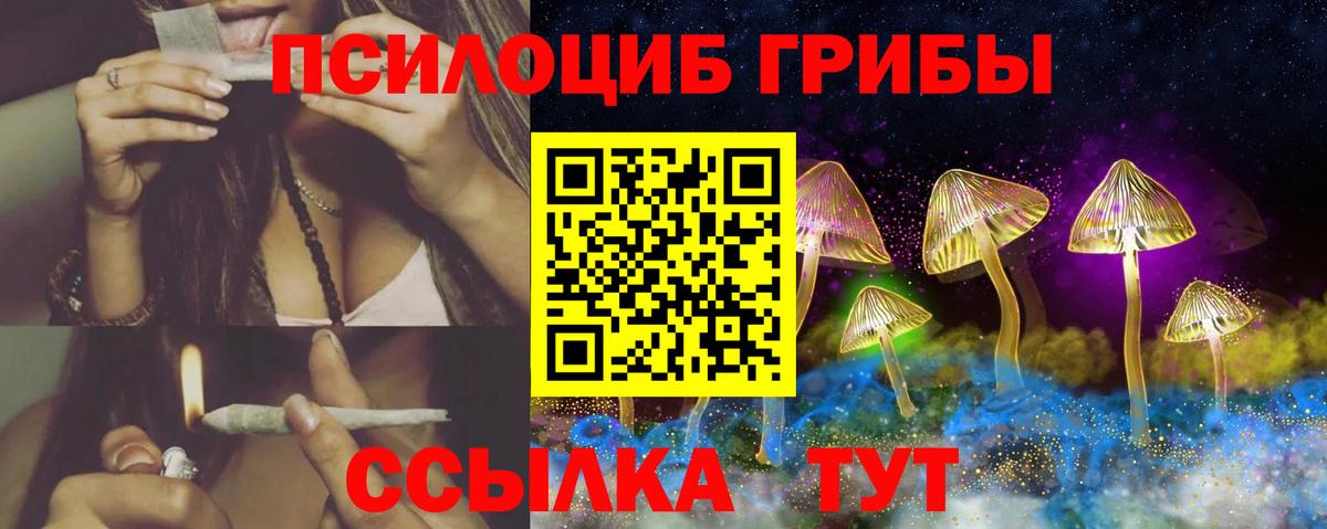 Псилоцибиновые грибы мухоморы Иркутск