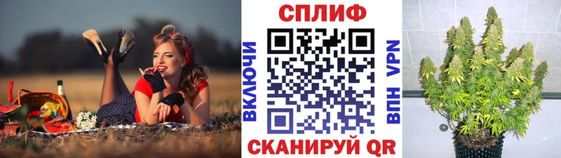 Конопля SATIVA & INDICA  купить закладку  Иркутск 
